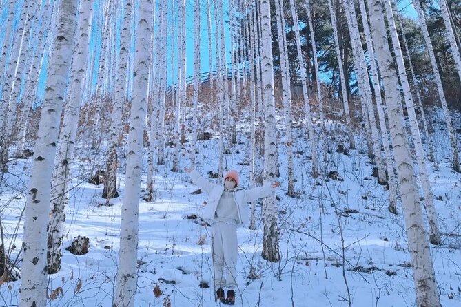 Wondae-ri Birch Forest and Inje Maebawi Ice Wall Full Day Tour - Tour Logistics and Schedule