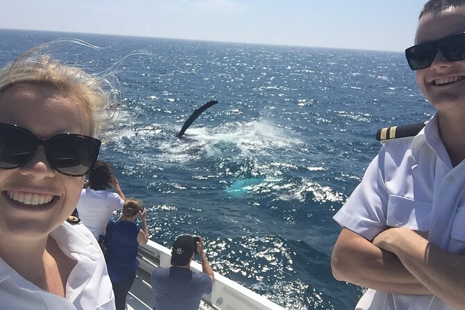 2 Hour Whale Watching Experience Departing Hillarys Boat Harbour - Booking and Cancellation Policies