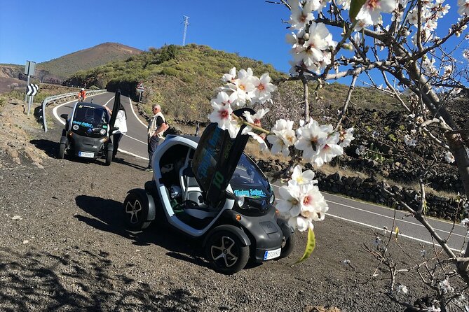 4 Hours Eco Safari Tour With Electric Car in Tenerife - End Point