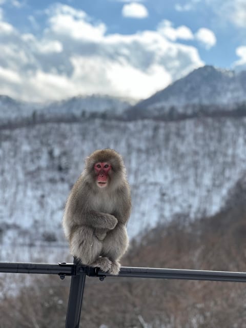 A Memorabele Snow Monkey Park and Zenkoji Temple Tour - Inclusions