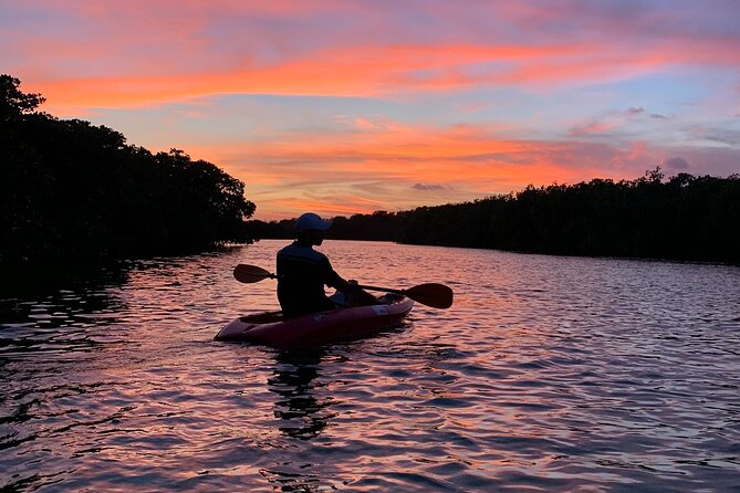 A Private Half-Day Kayaking Experience in Nichupté Lagoon  - Cancun - Pickup and Transportation