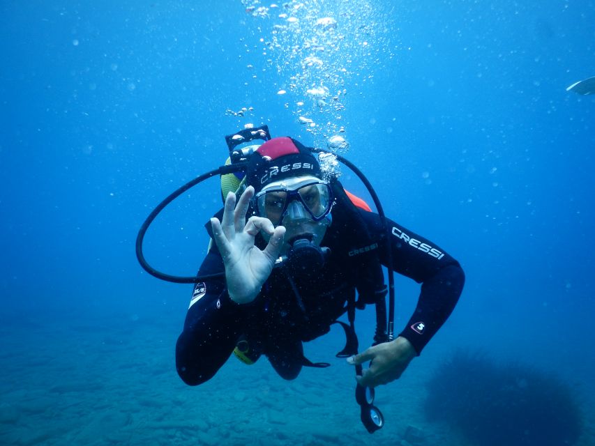 Agia Pelagia: Introduction to Scuba Diving (2 Dives) - Common questions