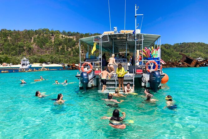 All-Inclusive Dolphin & Tangalooma Wrecks Day Cruise (Gold Coast Transfer) - Marine Life Encounters