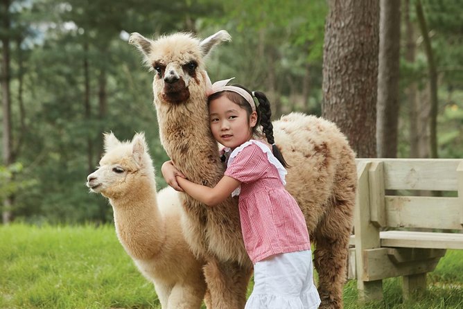 Alpaca World & Suspension Bridge Day Tour With Luge Ride - Booking and Cancellation Policies