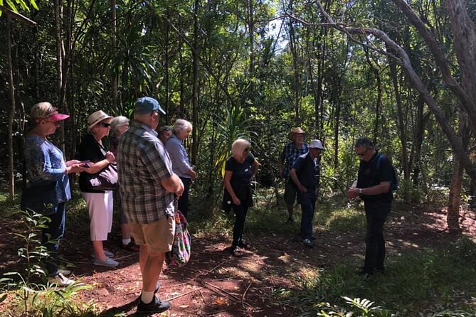 Breakfast Bushwalk & Clifftop BBQ Tour - Important Tour Details