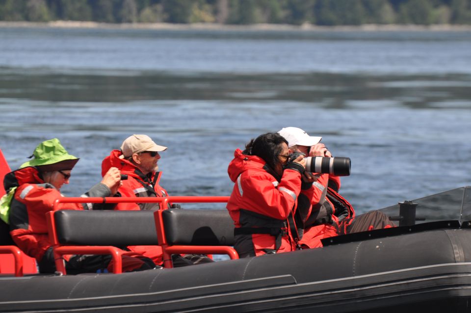 Campbell River: Whale Watching and Wildlife Viewing Day Tour - What to Bring