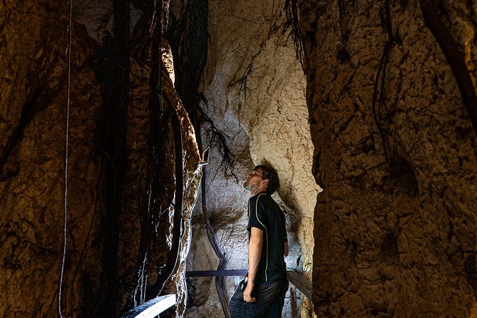 Capricorn Caves Cathedral Cave Tour - Unique Features and Highlights