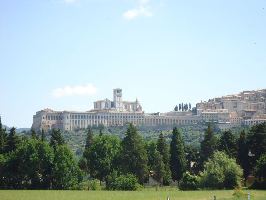 Day Trip From Rome to Assisi and Orvieto - 10 Hours - Customer Reviews and Feedback