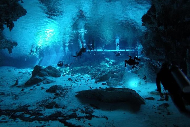 Dos Ojos Cenote Cavern Dive- The Barbie Line and The Bat Cave - Tour Logistics