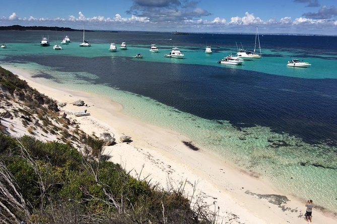 Experience Rottnest With Ferry & Bike Hire - Reviews From Past Travelers