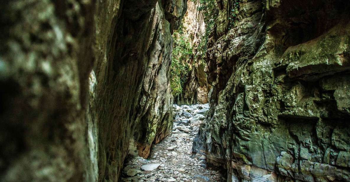 From Kalamata: Ridomo Gorge Hiking Tour With Greek Coffee - Inclusions and Services