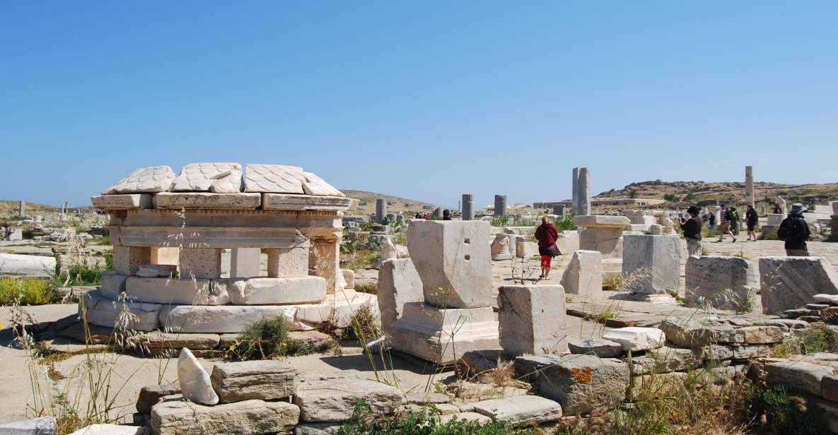 From Paros: Delos and Mykonos Full-Day Boat Trip - Important Information