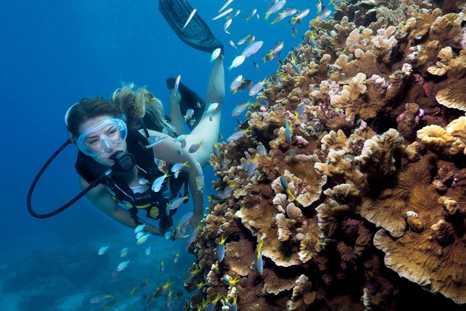 Great Barrier Reef Diving and Snorkeling Cruise From Cairns - Equipment and Safety Briefing