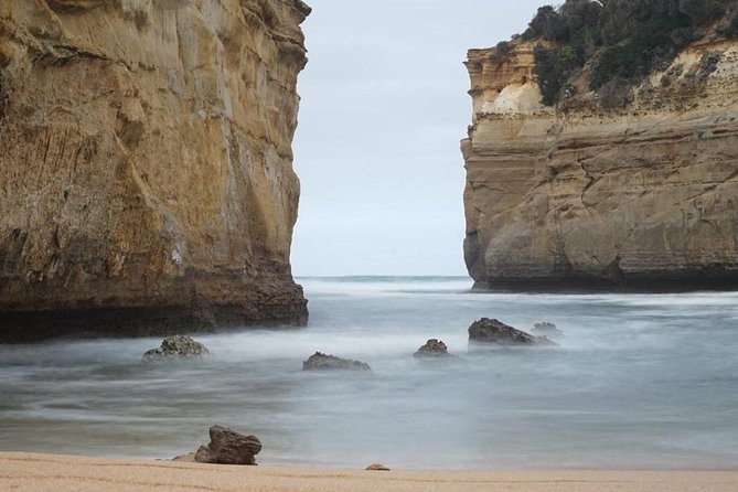 Great Ocean Road 12 Apostles Kangaroo & Koala Tour - Tour Logistics and Details