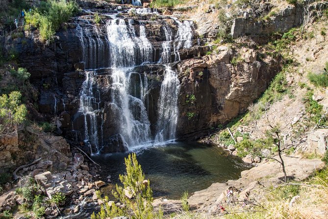 Great Ocean Road Grampians 3 Day National Park Tour Melbourne Roundtrip - Wildlife and Cultural Experiences