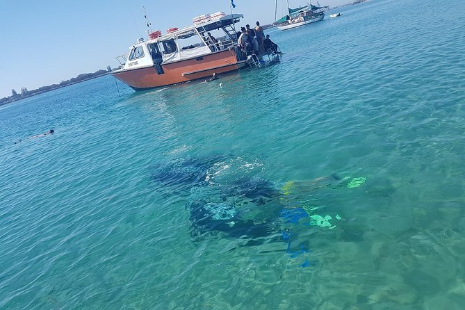 Guided Snorkel With Fish Tour at Wavebreak Island, Gold Coast - Essential Safety Information