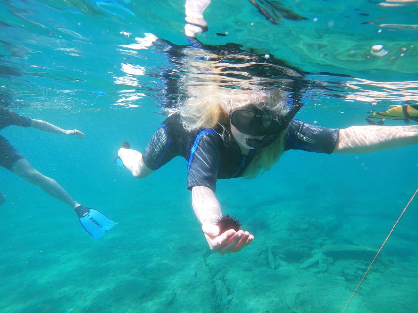 Heraklion: Beginner-Friendly Snorkeling Trip - Important Information