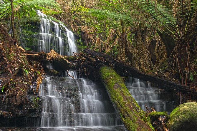 Hobart and Surrounds Photography Workshop - Logistics and Important Details