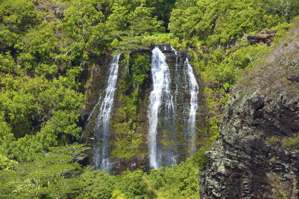 Kauai: Full-Day Tour With Fern Grotto River Cruise - Riverboat Journey and Entertainment