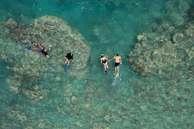 Lady Enid Sailing to Langford Island & Snorkelling - Adults Only - Reviews From Previous Travelers