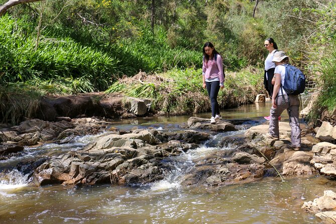 Morialta Wilderness and Wildlife Hike - What to Expect on the Tour