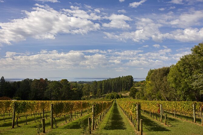 Mornington Peninsula Wine and Food Day Tour From Melbourne - Expert Guide and Commentary