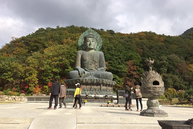 Mt. Seorak+Nami Island+Garden of Morning Calm Day Trip From Seoul - Tour Reviews and Ratings