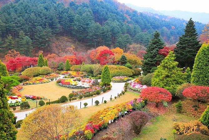 Nami Island With Garden of Morning Calm Trip - Reviews and Pricing Information