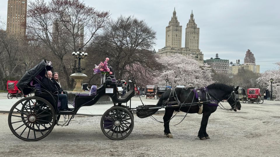 NYC Empire State Horse Carriage Rides (Central Park Tour) - Customer Testimonials