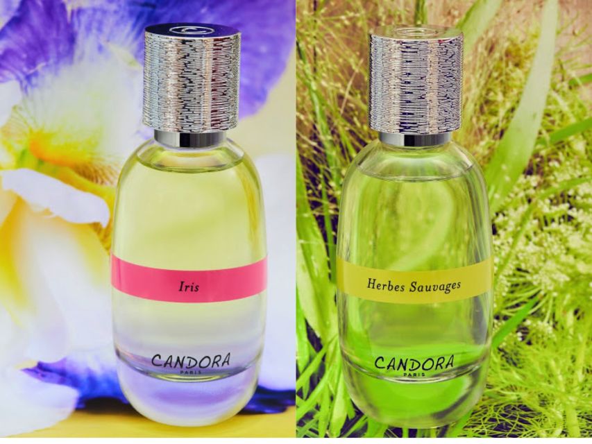 Paris: 2-Hour Perfume Creation Workshop - Workshop Experience