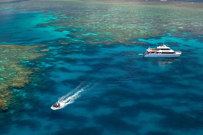 Poseidon Outer Great Barrier Reef Snorkeling and Diving Cruise From Port Douglas - Cruise Schedule and Timing