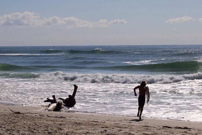 Private Surf Coaching Session in New South Wales - Reviews and Booking Process