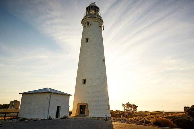 Rottnest Island Bayseeker Day Trip From Perth - Rottnest Islands Hidden Gems