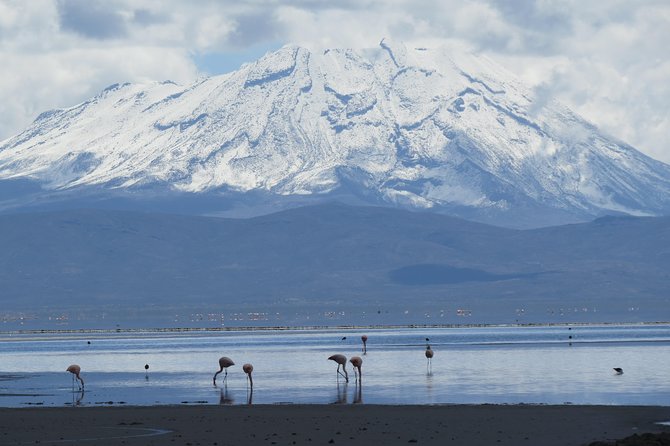 Salinas Lake - National Reserve PRIVATE TOUR Min 2 People - Common questions