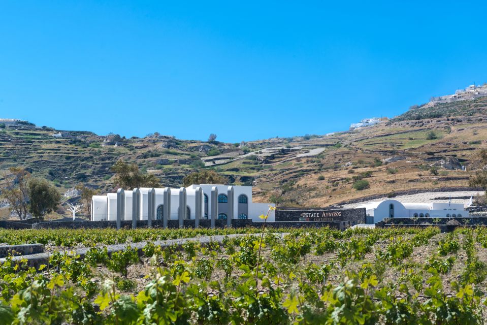 Santorini: Guided Wineries Private Tour With Wine Tastings - Pickup Details and Cancellation Policy