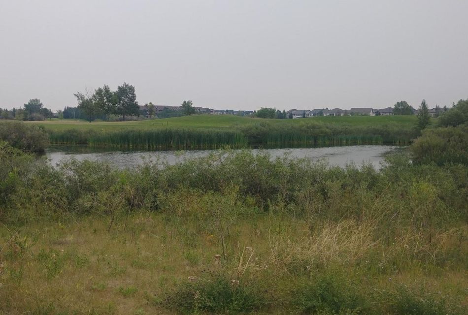 Saskatoon: Donna Birkmaier Park Birding and Walking Tour - Important Things to Bring