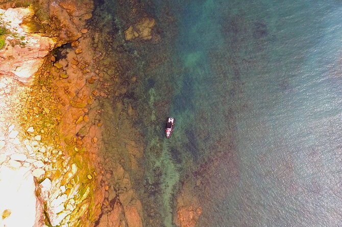 Sea Trip Along the Basque Coast, Departure From Saint-Jean-De-Luz - Wildlife Spotting Opportunities