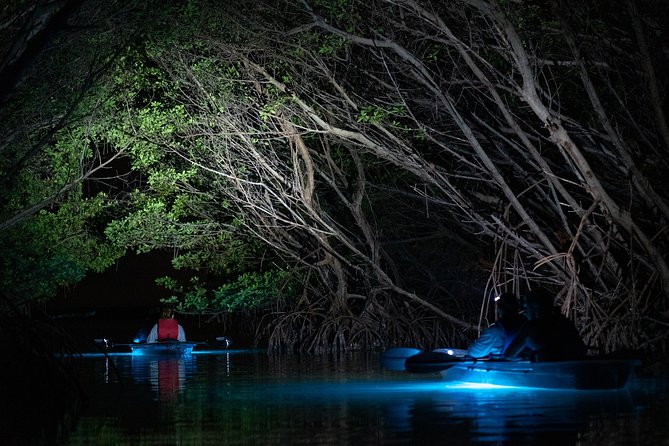 Shell Key Clear Kayak Glow in the Dark Tour - Host Responses and Appreciation