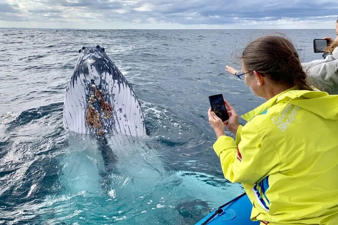 Small Boat Whale Watching Tour in Gold Coast - Cancellation and Refund Policy