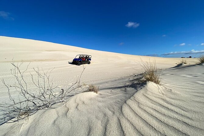 Small-Group Buggy Tour at Little Sahara With Guide - Meeting and Ending Points