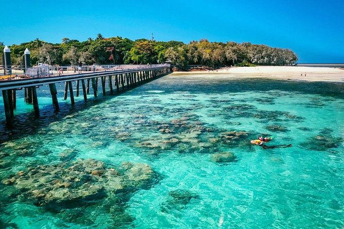 Snorkelling and Glass Bottom Boat at Green Island From Cairns - What to Expect on Board