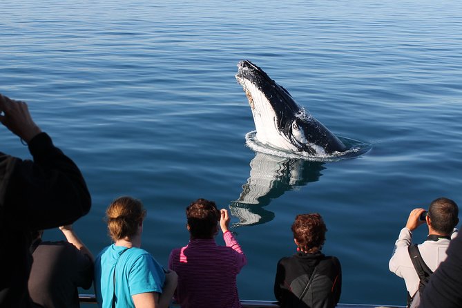 Spirit of Hervey Bay Whale Watching Cruise - Boat Features and Design