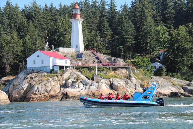 Vancouver City and Seals Scenic Boat Tour by Vancouver Water Adventures - Customer Feedback