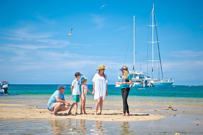 Wavedancer Low Isles Great Barrier Reef Sailing Cruise - Guided Tours and Activities