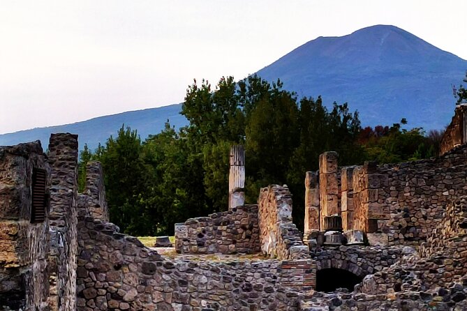 2 Hours Private Tour in Pompeii With Archaeologist - Booking Information