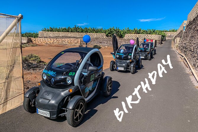 4 Hours Eco Safari Tour With Electric Car in Tenerife - Additional Info