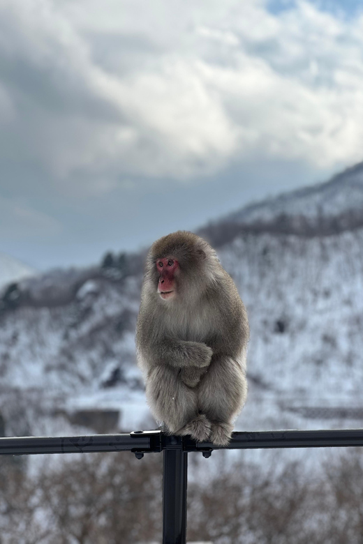 A Memorabele Snow Monkey Park and Zenkoji Temple Tour - Directions