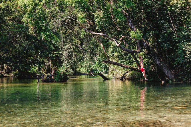 Atherton Tablelands, Waterfalls and Rainforest Tour From Cairns - Logistics and Transportation