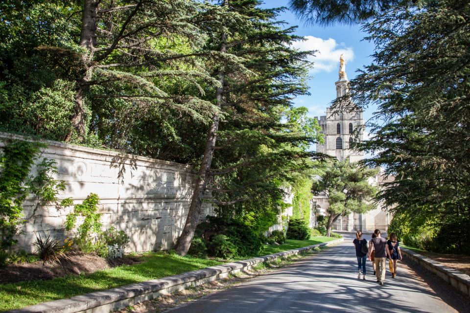 Avignon: City Walking Tour With Popes Palace Entry - Additional Information