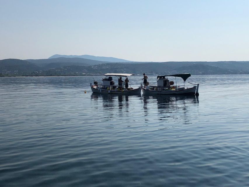 Boat Ride Tour & Lunch in Messinia, Greece - Restrictions